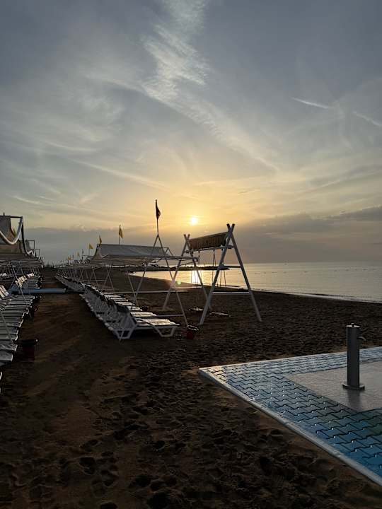 Strand Delphin BE Grand