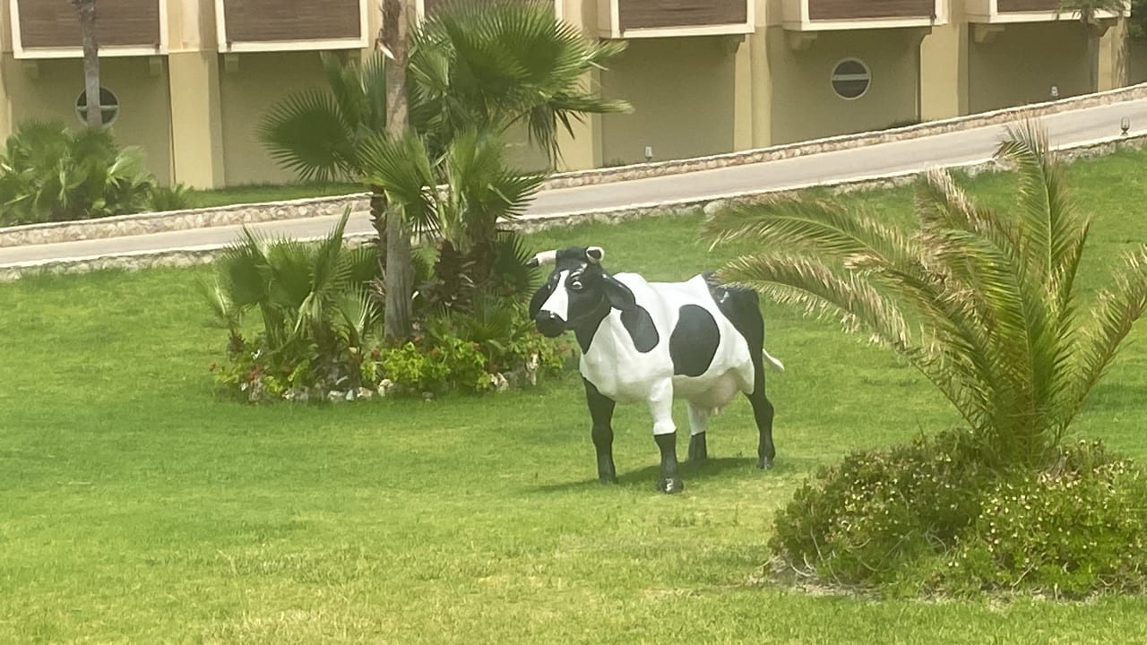 Gartenanlage Hotel Kalithea Horizon Royal