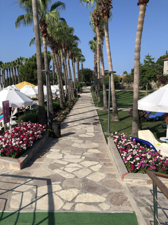 Gartenanlage Arum Barut Collection