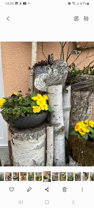 Außenansicht Gästehaus Schulz