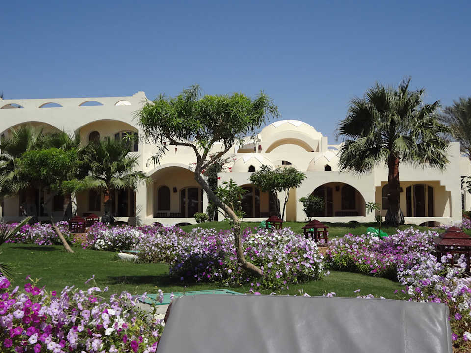 Вид на мой номер))) Regency Plaza Aqua Park & Spa