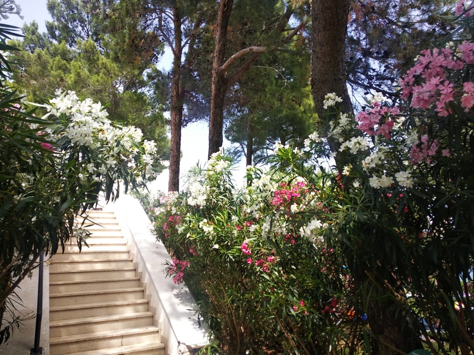 Gartenanlage Valamar Sanfior Hotel & Casa