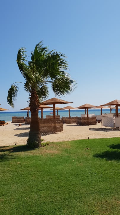 Gartenanlage Shams Prestige Abu Soma-Adults Only