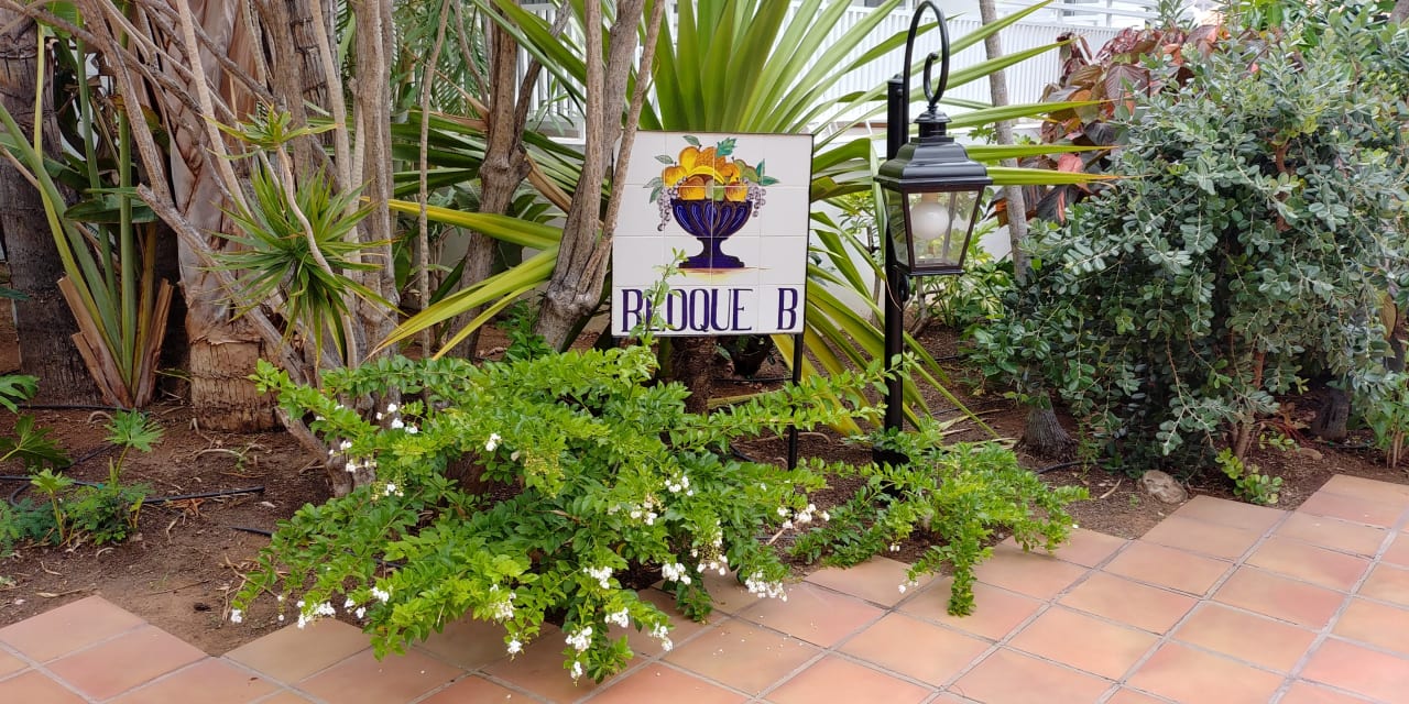 Gartenanlage Hotel Parque del Sol