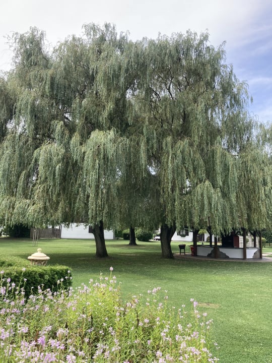 Gartenanlage Hotel VILA VITA Pannonia