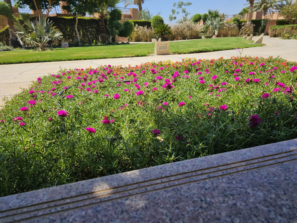 Gartenanlage Shams Prestige Abu Soma-Adults Only