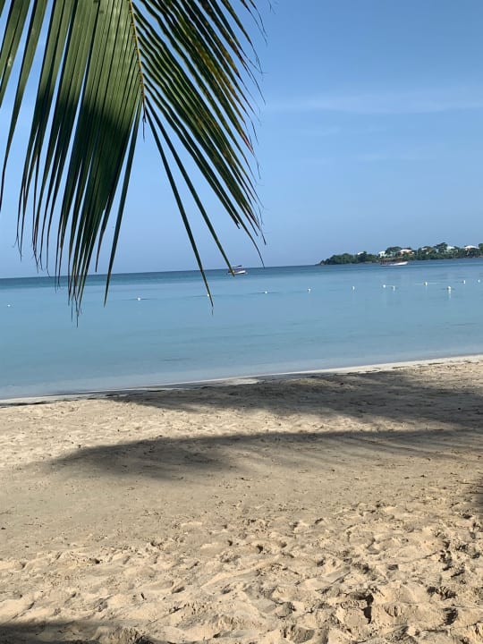 Strand Hotel Riu Palace Tropical Bay