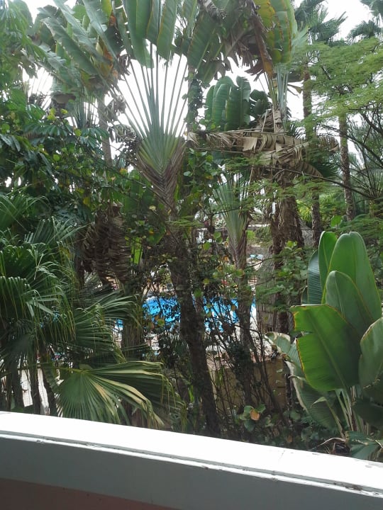 Ausblick vom Zimmer Abora Buenaventura by Lopesan Hotels