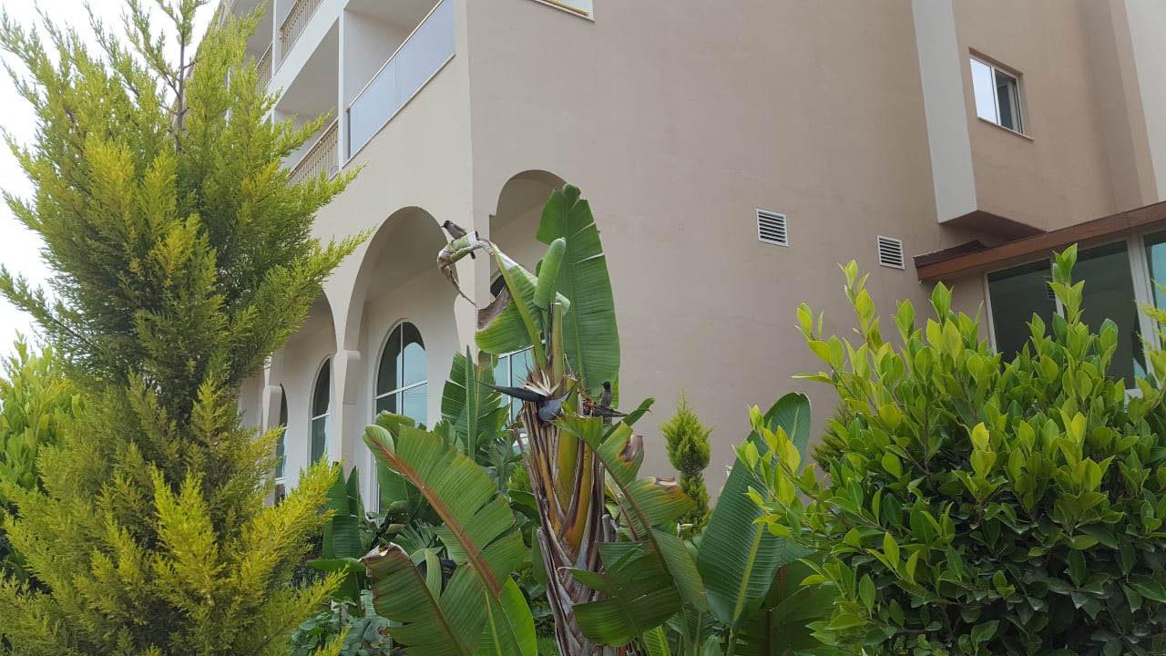 Gartenanlage Well Palace Side