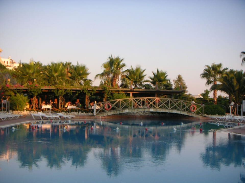 Unser Pool Trendy Palm Beach (Adults Only, 16+)
