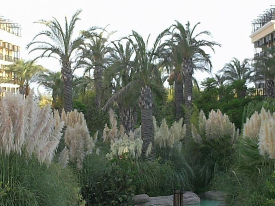 Gartenanlage Crystal Paraiso Aqua Collection