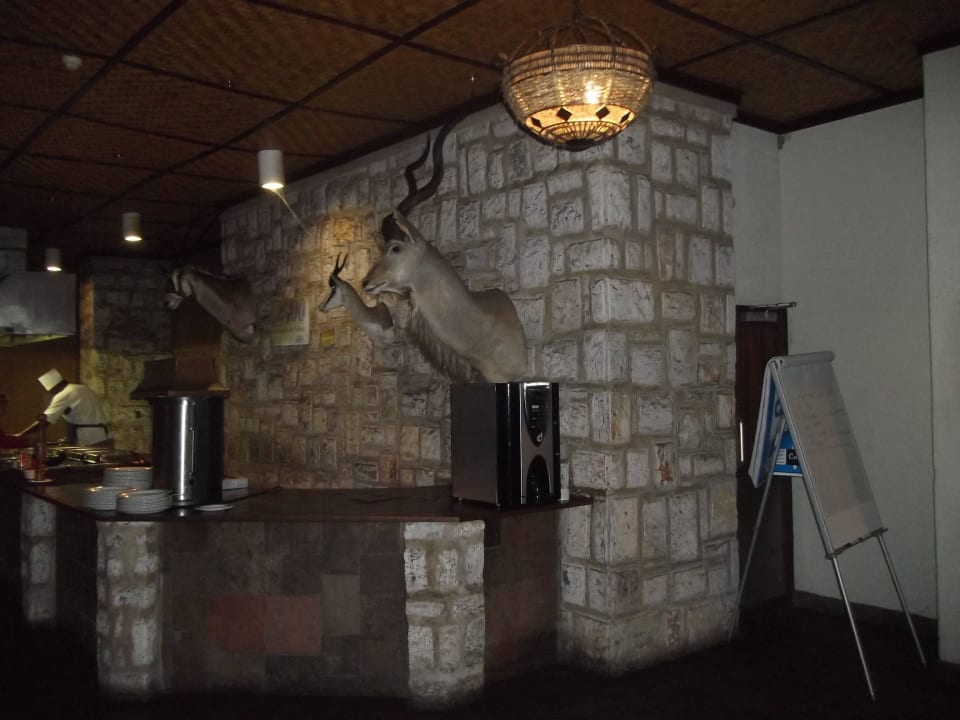 Tiere schauen beim Essen zu  Okaukuejo Camp