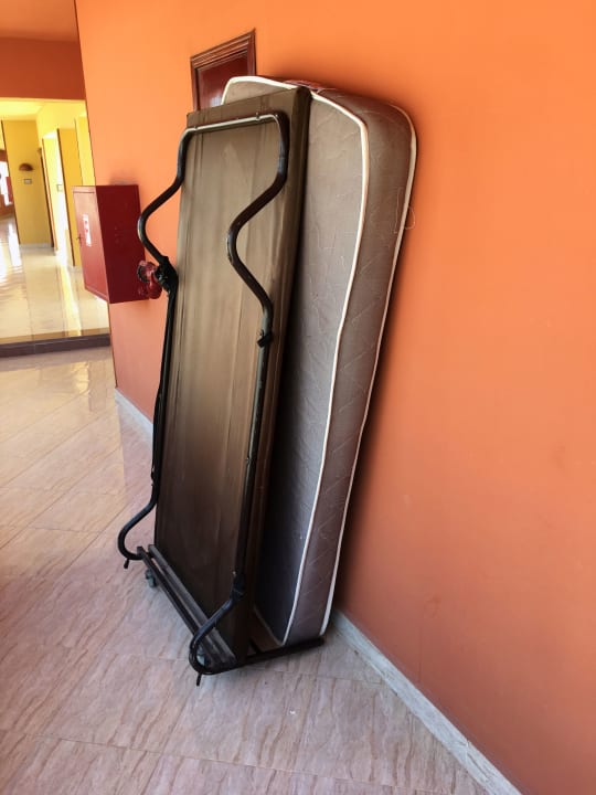 Zimmer Malikia Resort Abu Dabbab