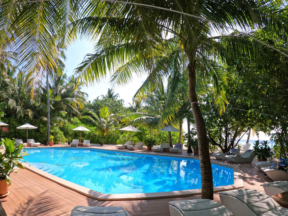 Pool Safari Island Maldives