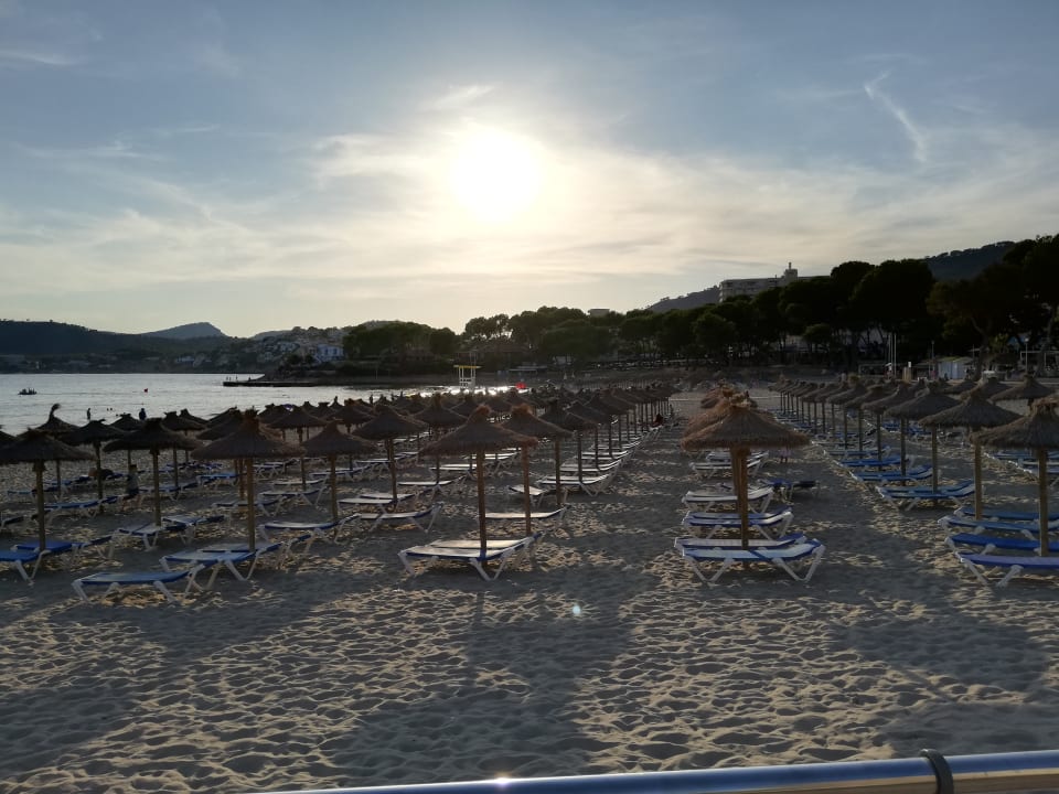 Strand allsun Hotel Bella Paguera