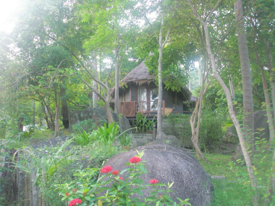 Cottage The Haad Tien Beach Resort
