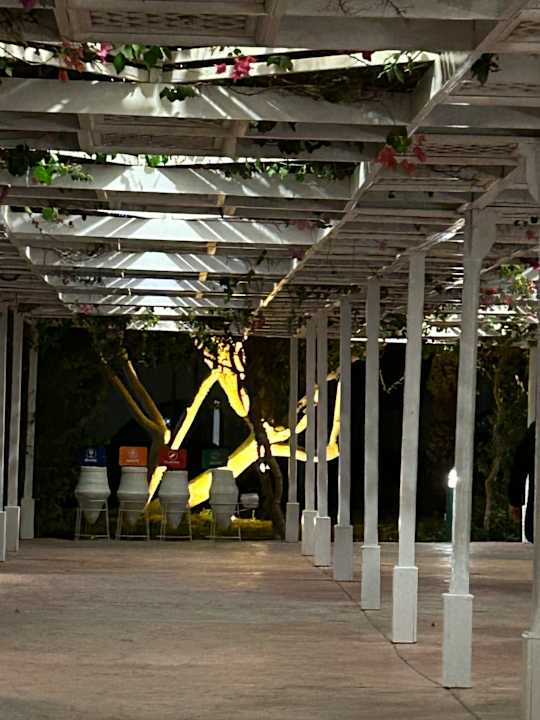 Gartenanlage Desert Rose