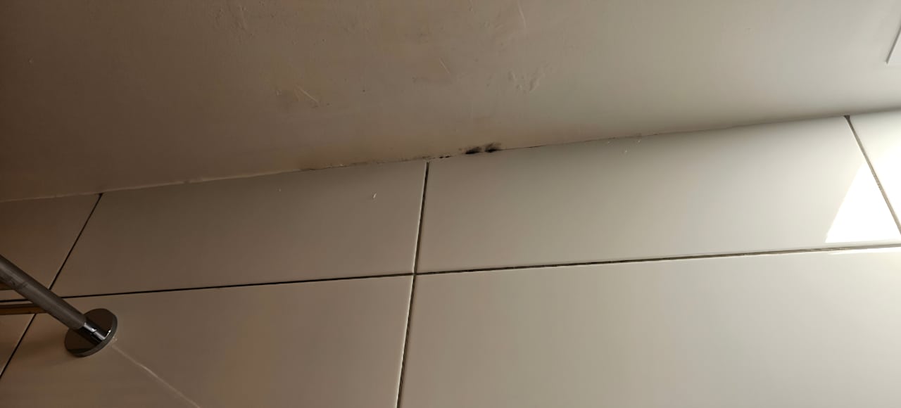 Zimmer Bull Dorado Beach & Spa