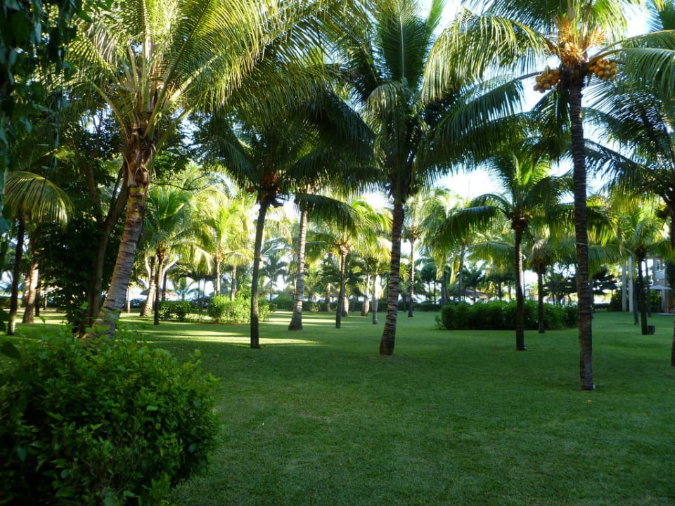 Blick von der Terrasse Victoria Beachcomber Resort & Spa