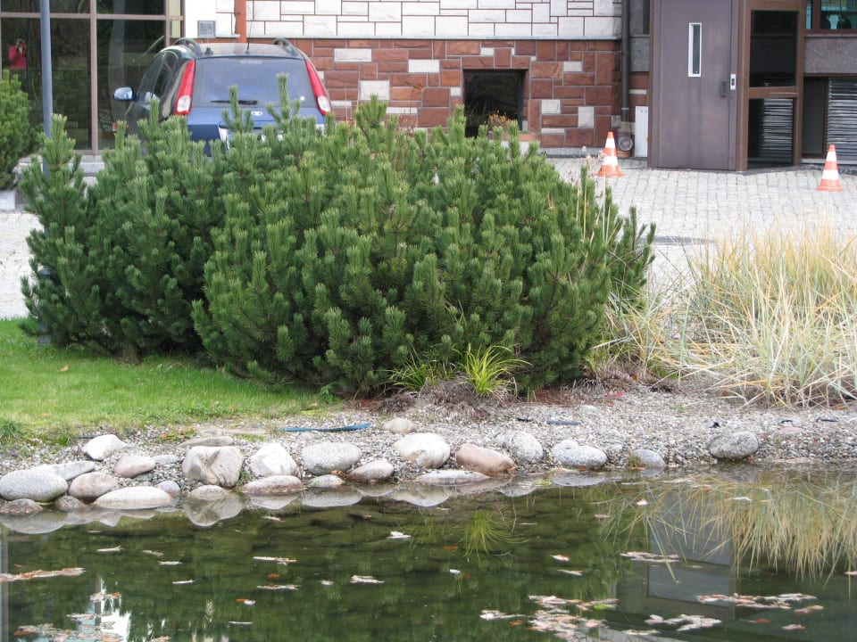 Oczko wodne Hotel Klimek Spa