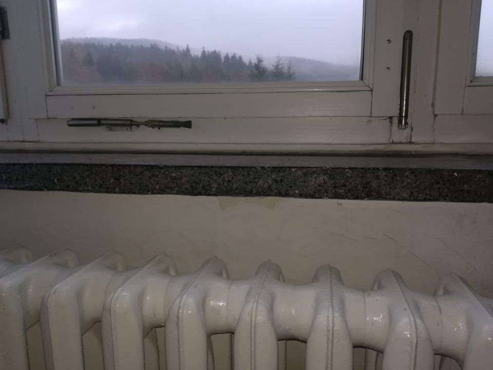 Zimmer Ferienhotel Markersbach