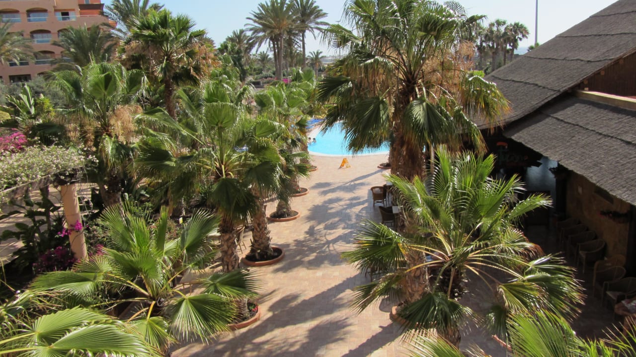 Vom Restaurant zum Pool Elba Sara Beach & Golf Resort