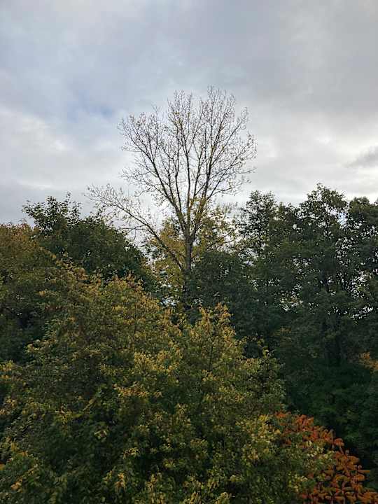 Ausblick Best Western Hotel Windorf