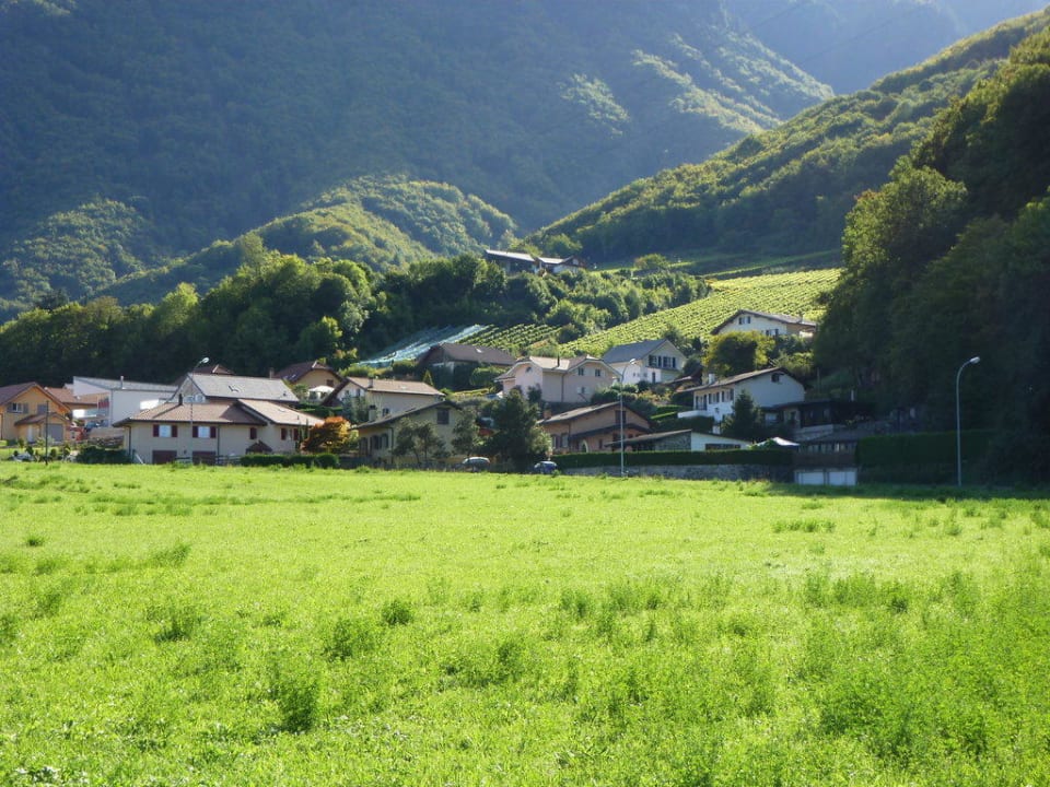 Ausblick von der Terrasse Hotel Garni Edirol
