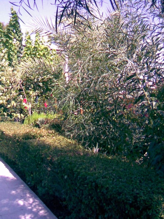 Antik Garden Antik Garden