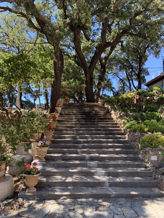 Gartenanlage Bordoy Continental Valldemossa