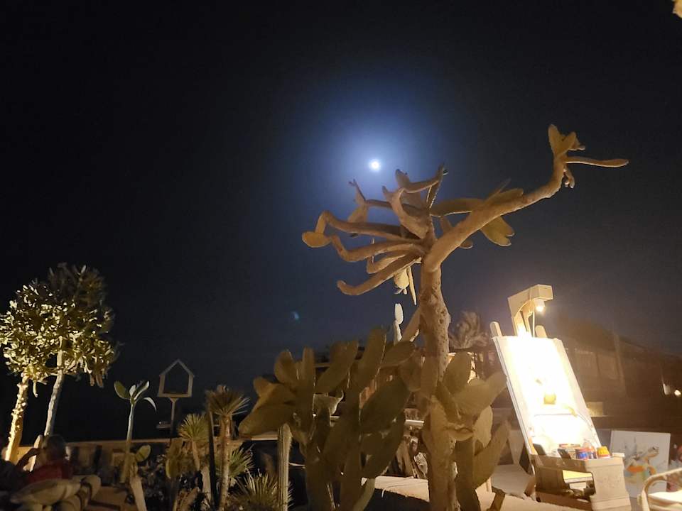 Sonstiges Mövenpick Resort El Quseir