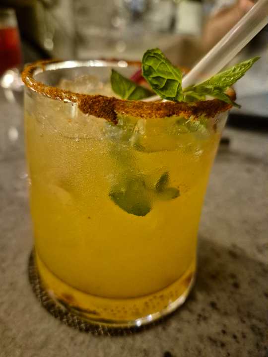 Gastro JAZ Elite Asteria