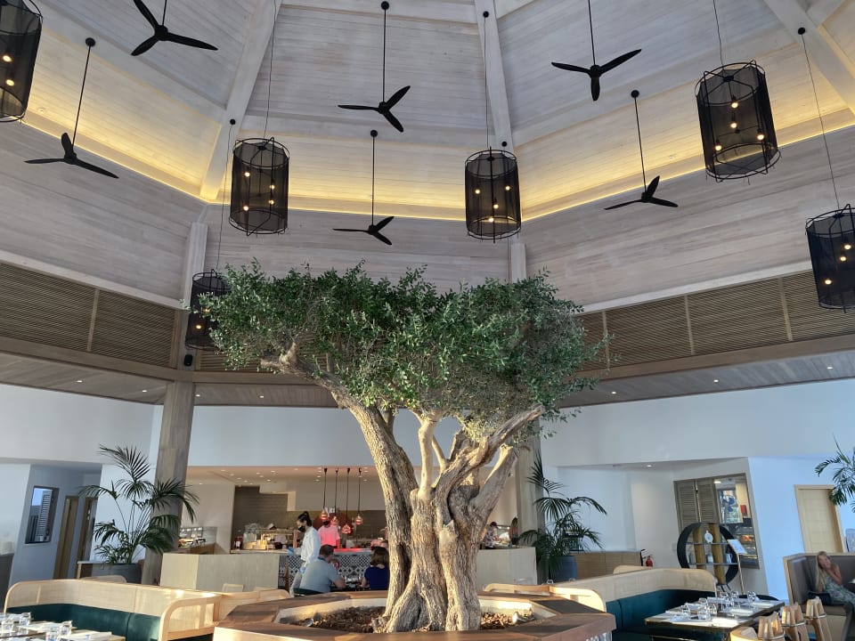 Gastro Mare Ayia Napa