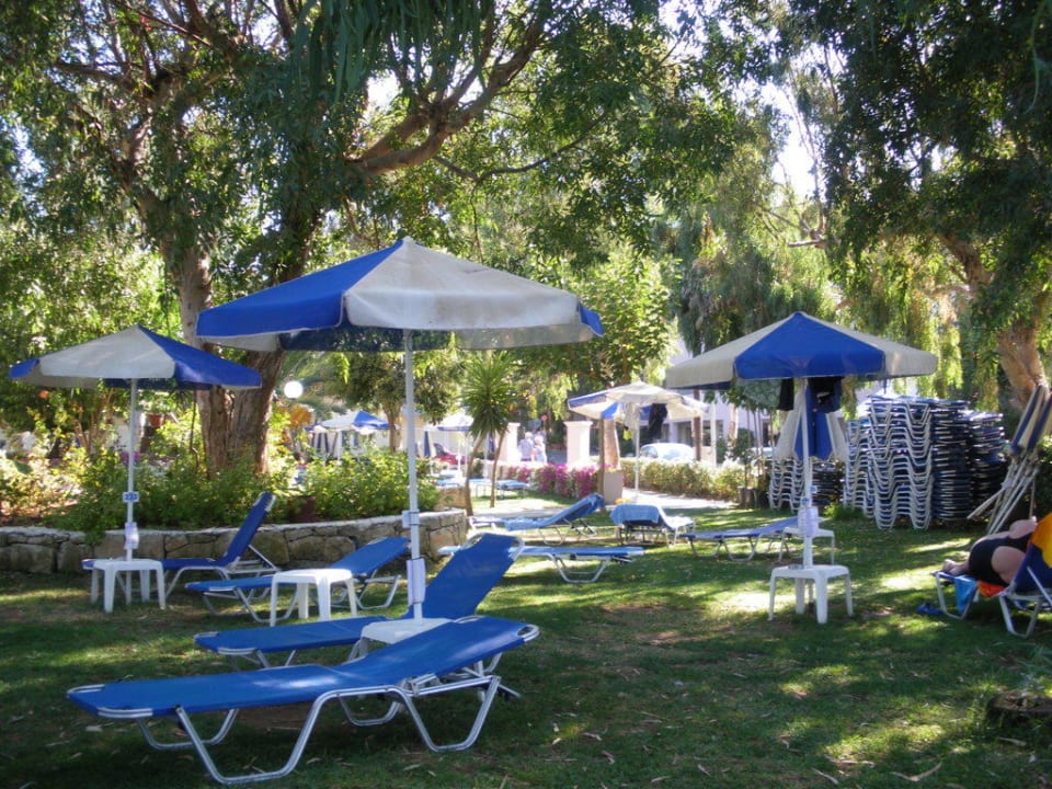 Liegen und Schirme am Pool Corissia Beach Hotel