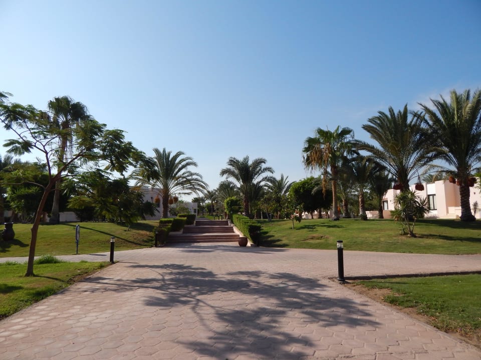 Garden Pharaoh Azur Resort