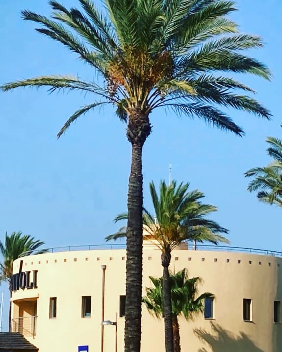 Ausblick NH Marina Portimão Resort