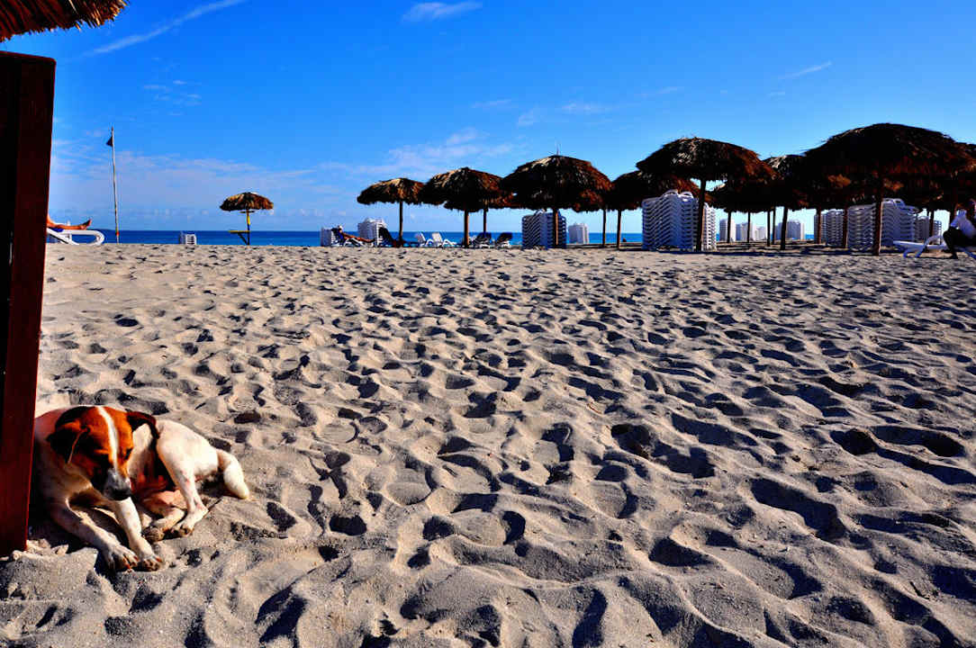 Der Strandwächter Iberostar Origin Laguna Azul