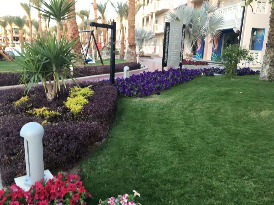Gartenanlage Pickalbatros Palace Resort