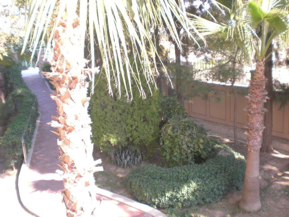 Ausblick Balkon Grand Seker Hotel