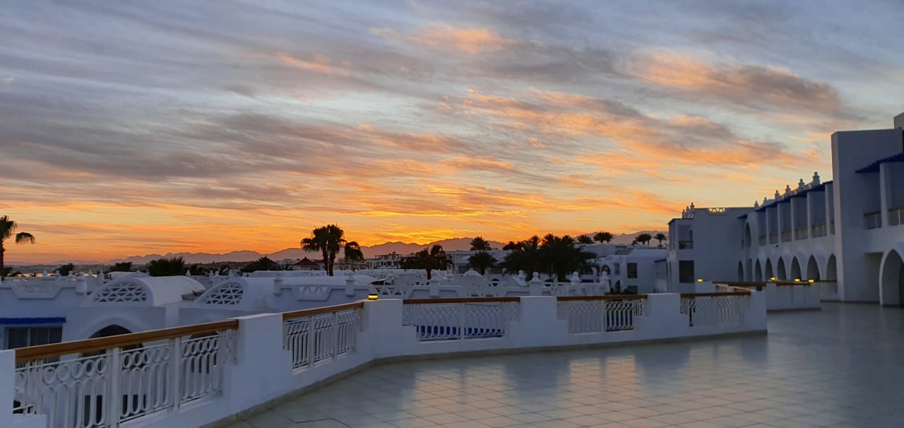 Ausblick Pickalbatros Palace Resort