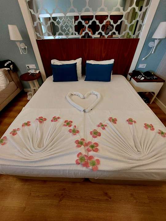 Zimmer Seashell Vega