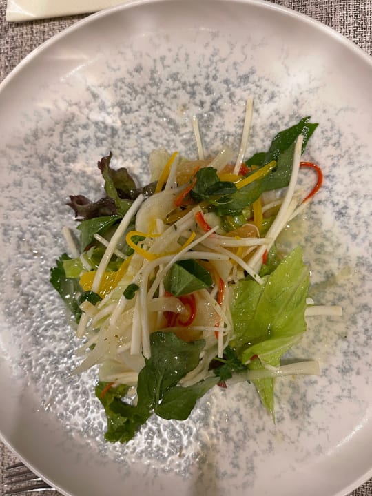 Gastro Acanthus Cennet Barut Collection