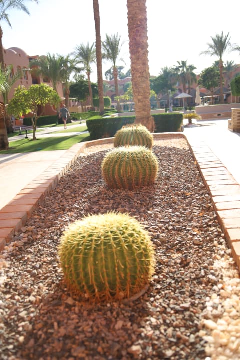 Außenansicht Jaz Makadi Oasis Resort