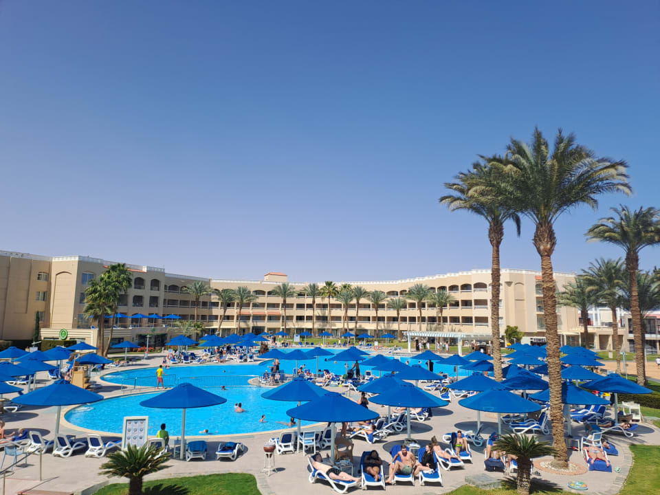 Pool Beach Albatros Resort