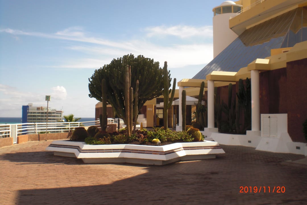 Lobby Hotel Riu Palace Jandia