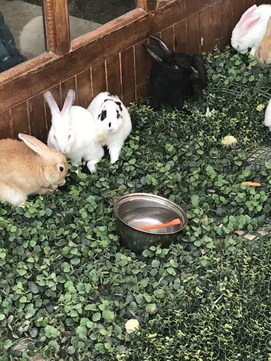 Sonstiges Sentido Caribbean World Soma Bay