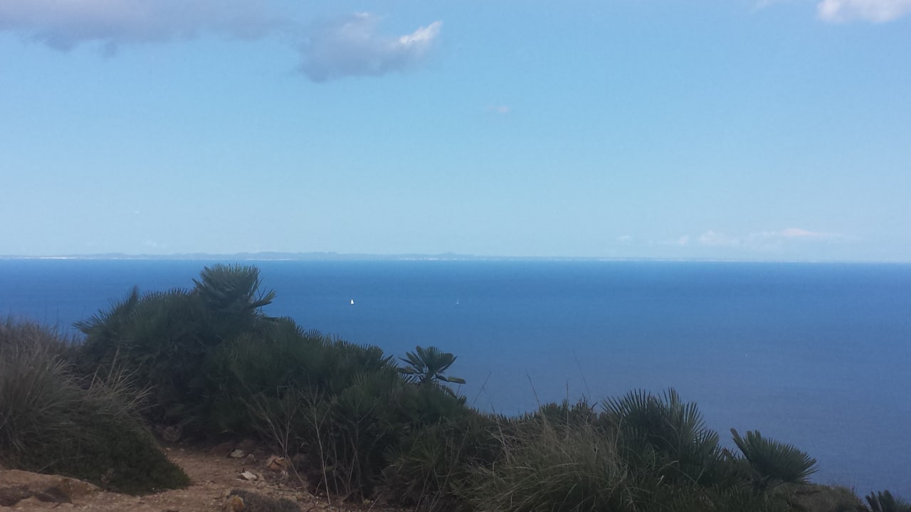 Ausblick Green Garden Aparthotel
