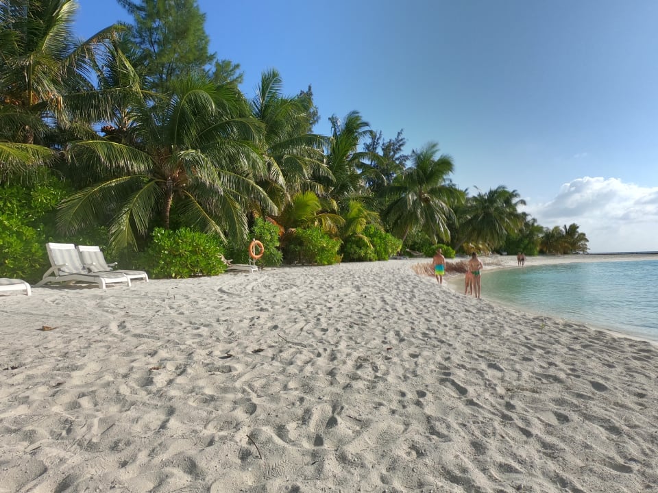 Strand Summer Island Maldives