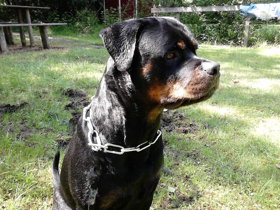 Mein Bub Haus Ase - Urlaub am Bauernhof