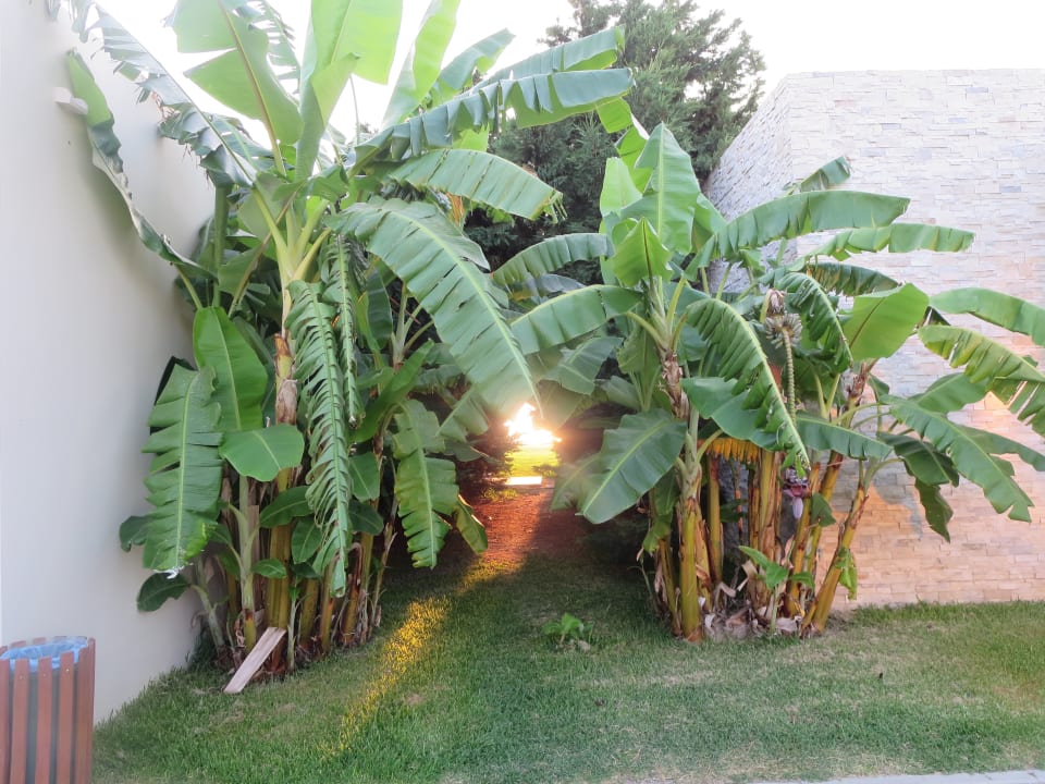 Sonstiges SENTIDO Port Royal Villas & Spa